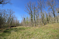 Commerce à vendre à Bayac, Dordogne - 207.000 € - photo 7