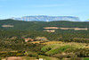 French property for sale in Saint-Chinian, Hérault - €1,700,000 - thumbnail 9