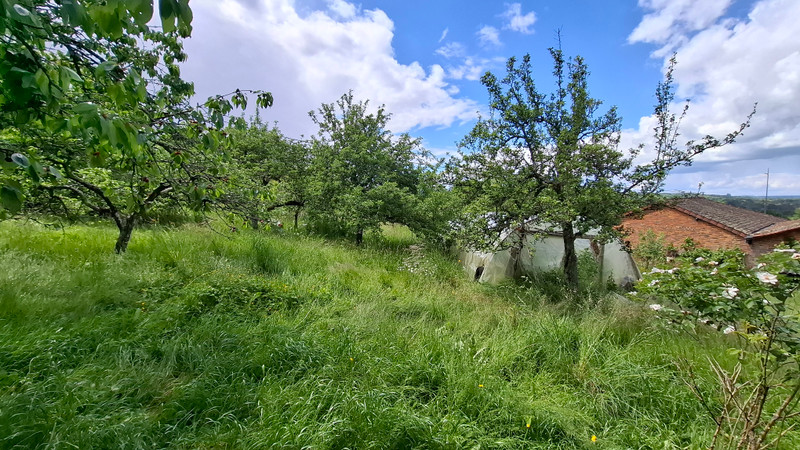 French property for sale in Aixe-sur-Vienne, Haute-Vienne - €46,600 - photo 3