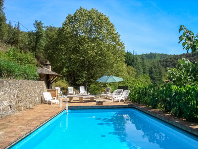 Beautiful medieval Château for sale, in the unspoilt heart of the Cévennes.