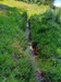 French property for sale in Condat-en-Combraille, Puy-de-Dôme - €299,600 - thumbnail 9