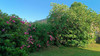 French property for sale in Châtelus-le-Marcheix, Creuse - €33,600 - thumbnail 9