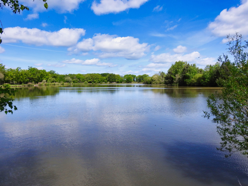 Lake for sale in Beaulieu Indre Large well stocked carp fishing