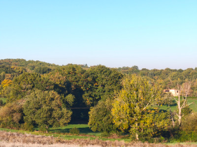 French property for sale in Grassac, Charente - €77,000 - photo 5