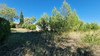 French property for sale in Marseillette, Aude - €252,000 - thumbnail 6