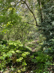 Terrain à Le Mené, Côtes-d'Armor - photo 10