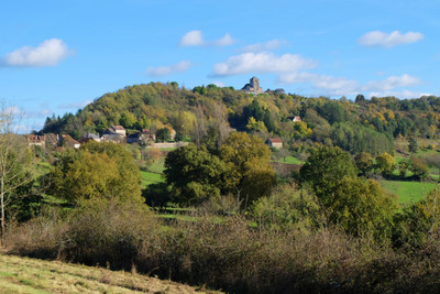 French property for sale in Beaulieu-sur-Dordogne, Corrèze - €94,600 - photo 3