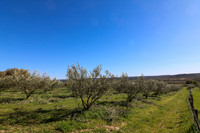 Terrain à vendre à Uzès, Gard - 130.000 € - photo 2