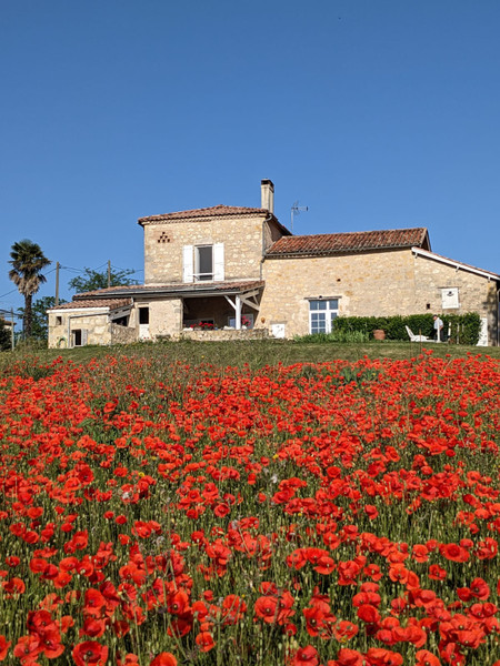 Maison à vendre à Port-Sainte-Marie, Lot-et-Garonne - 299.500 € - photo 1