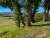 French property for sale in Castillonnès, Lot-et-Garonne - €219,999 - thumbnail 9