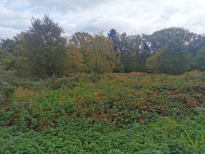 French property for sale in La Gacilly, Morbihan - €40,000 - photo 13