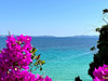 French property for sale in Le Lavandou, Var - €634,200 - thumbnail 9