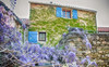 French property for sale in Saint-Martin-de-l'Arçon, Hérault - €195,000 - thumbnail 9