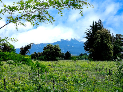 French property for sale in Sarrians, Vaucluse - €824,000 - photo 1