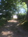 French property for sale in Saint-Pierre-du-Palais, Charente-Maritime - €431,500 - thumbnail 9