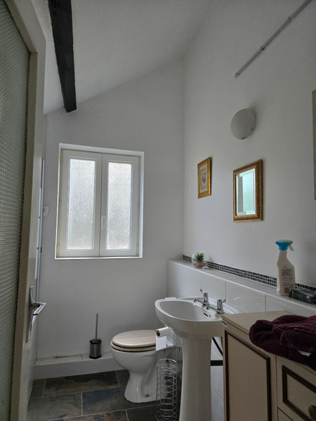 French property for sale in Saint-Mars-sur-la-Futaie, Mayenne - €74,950 - photo 9