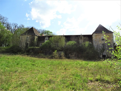 Chateau à vendre à Bassillac et Auberoche, Dordogne, Aquitaine, avec Leggett Immobilier