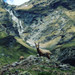 French property for sale in Champagny-en-Vanoise, Savoie - €639,000 - thumbnail 9