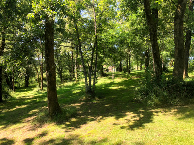 French property for sale in Brillac, Charente - €283,550 - photo 1