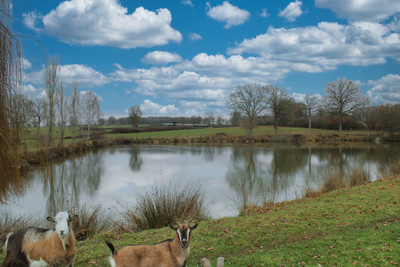 Lacs à vendre à Chabrac, Charente, Poitou-Charentes, avec Leggett Immobilier
