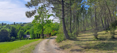 French property for sale in Proissans, Dordogne - €650,000 - photo 9