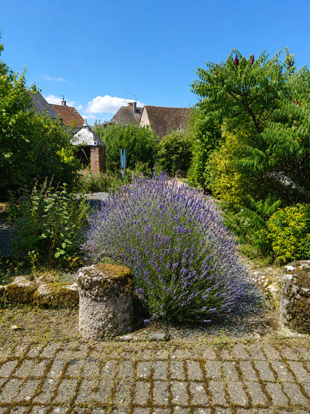 French property for sale in Châtelus-Malvaleix, Creuse - €210,000 - photo 8