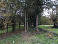Propriété à vendre à Pressignac, Charente - 75 000 € - photo n°10