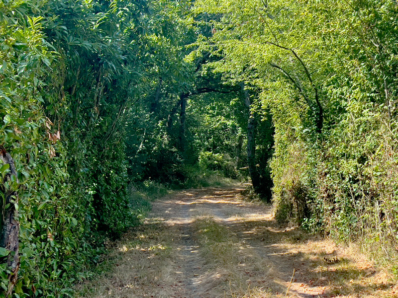 French property for sale in Trie-sur-Baïse, Hautes-Pyrénées - €199,500 - photo 3