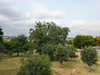 French property for sale in Nogent-le-Bernard, Sarthe - €220,000 - thumbnail 9
