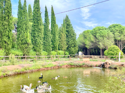 Exceptional agricultural property 3 dwellings + 2360m² of outbuildings + swimming pool + pond +incredible view