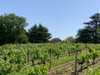 French property for sale in Espiens, Lot-et-Garonne - €213,000 - thumbnail 9
