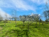 Propriété à vendre à Canihuel, Côtes-d'Armor - 172 800 € - photo n°14
