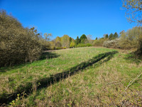 Propriété à vendre à Touquettes, Orne - 30 000 € - photo n°5