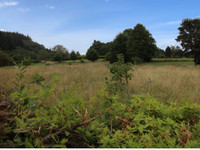 Terrain à vendre à Bussière-Galant, Haute-Vienne - 24.000 € - photo 2