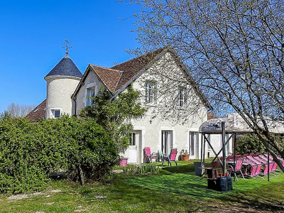 Magnificent 7 bedroom house and its wooden chalet 60m². Near Blois.