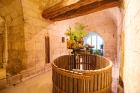 Chateau à vendre à Loudun, Vienne - 1.430.000 € - photo 8
