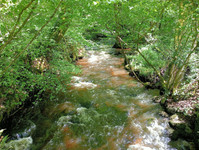 Moulin à vendre à Espagnac, Corrèze - 48.750 € - photo 12