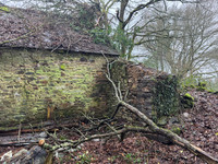 Propriété à vendre à Plélauff, Côtes-d'Armor - 50 000 € - photo n°13