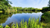 French property for sale in Saint-André-de-Double, Dordogne - €54,600 - thumbnail 11