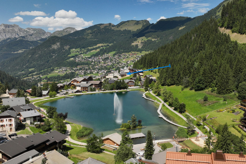 Propriété de ski à vendre - Chatel - 2 495 000 € - photo 12