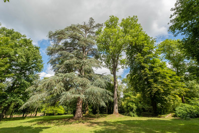 French property for sale in Coulommiers, Seine-et-Marne - €2,450,000 - photo 8