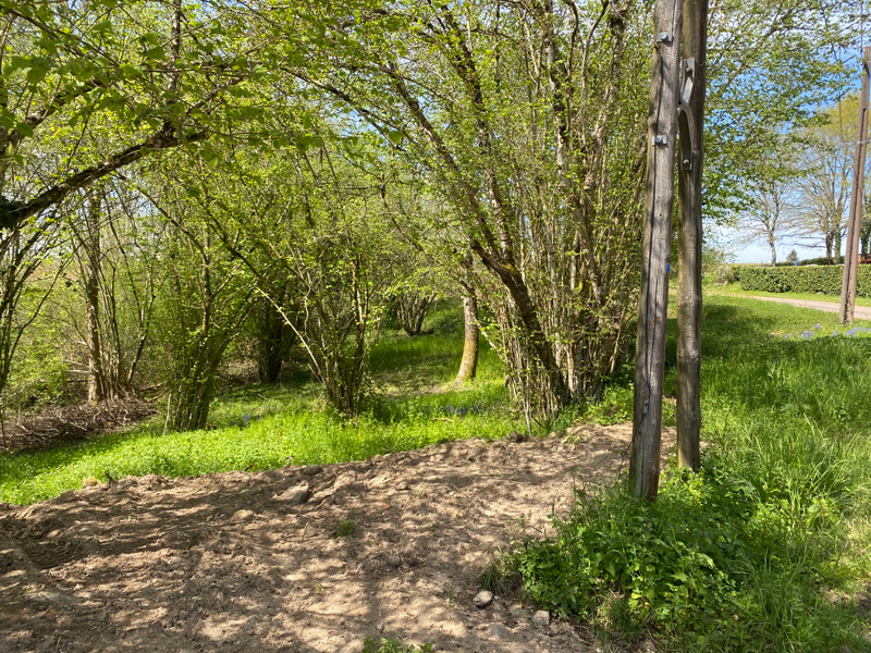 French property for sale in Busserolles, Dordogne - €66,600 - photo 9