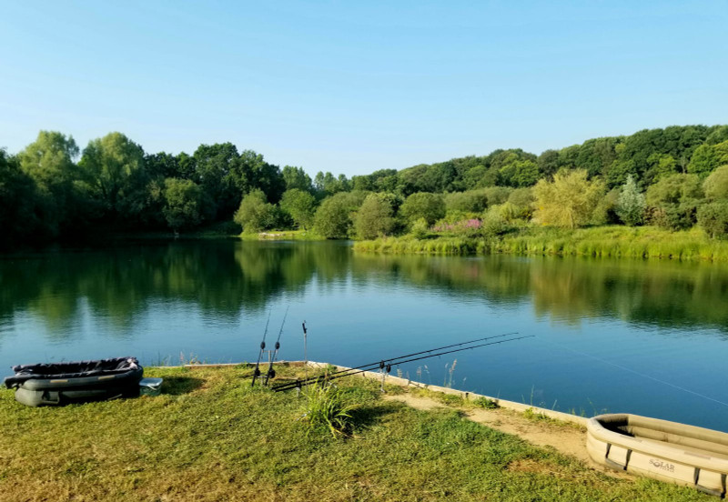 Lake for sale in Fougères - Ille-et-Vilaine - 7 acre carp fishing