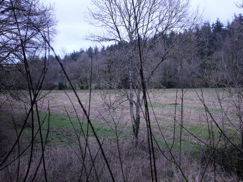 French property for sale in Landeleau, Finistère - €36,600 - photo 1