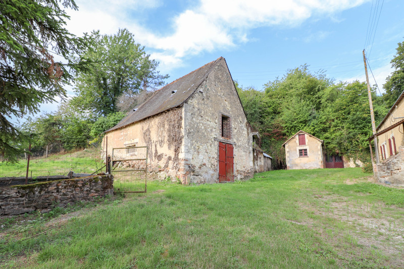 French property for sale in Aubigné-Racan, Sarthe - photo 7