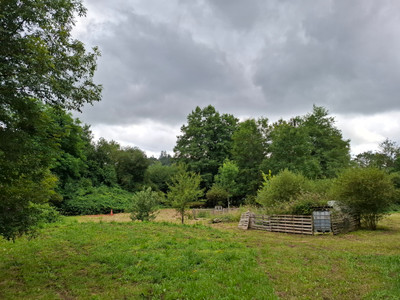 French property for sale in Isle, Haute-Vienne - €254,000 - photo 3