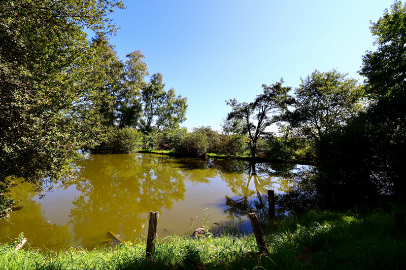 French property for sale in Rouzède, Charente - €396,500 - photo 9