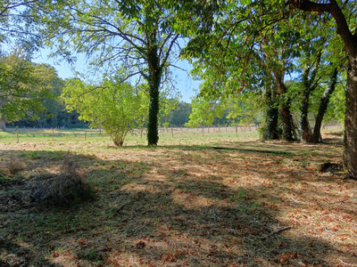 French property for sale in La Chapelle-Bâton, Vienne - €204,120 - photo 11
