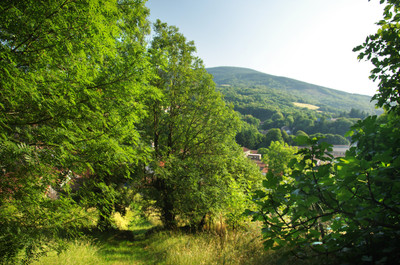 French property for sale in Labastide-Rouairoux, Tarn - €18,000 - photo 6