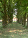 French property for sale in Bertric-Burée, Dordogne - €787,500 - thumbnail 13